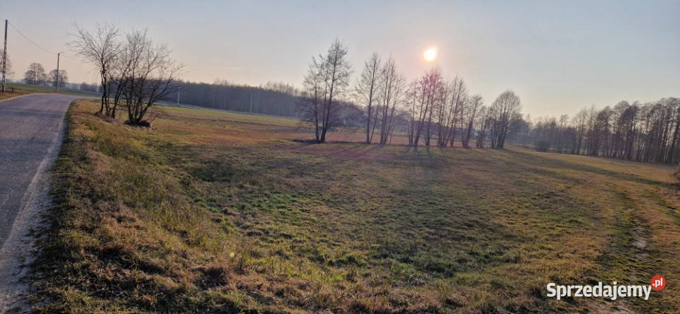 Sprzedam działkę budowlaną Stara Wieś gm Rząśnik mazowieckie