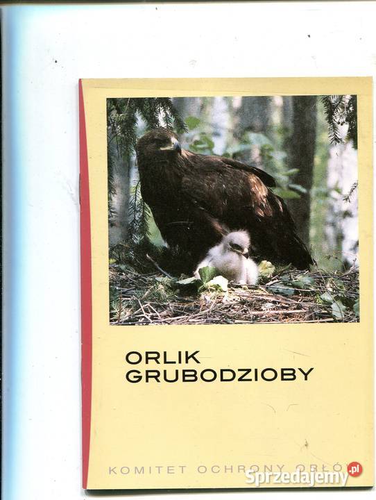 Komitet Ochrony Orłów Orlik Grubodzioby miękka Pozostałe zachodniopomorskie Szczecin