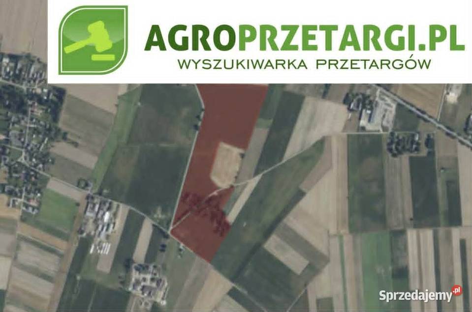 Dzierżawa 1365 ha gruntu rolnego Siedlce sprzedam