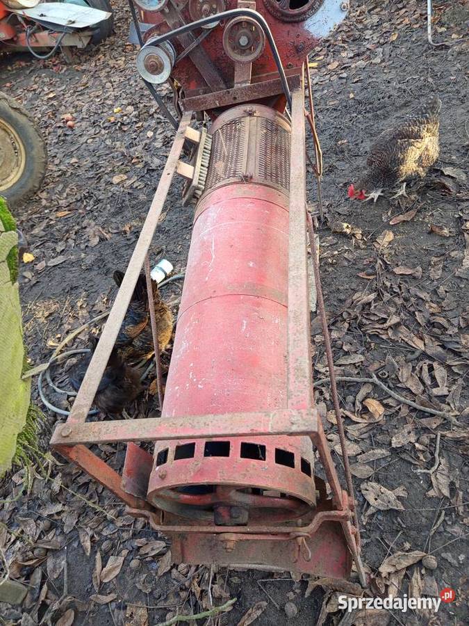 tryjel wialnia Dąbie