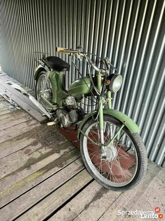 SPRZEDAM KOMARA Tarnów