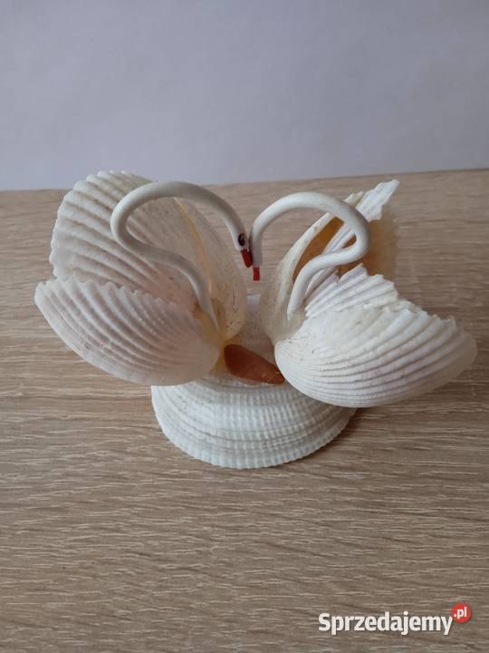 Łabędzie z muszelek Poznań