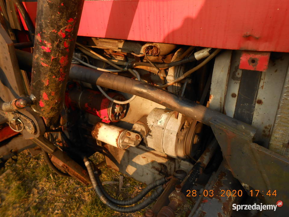 Mf 560 z ładowaczemtanio Zamość
