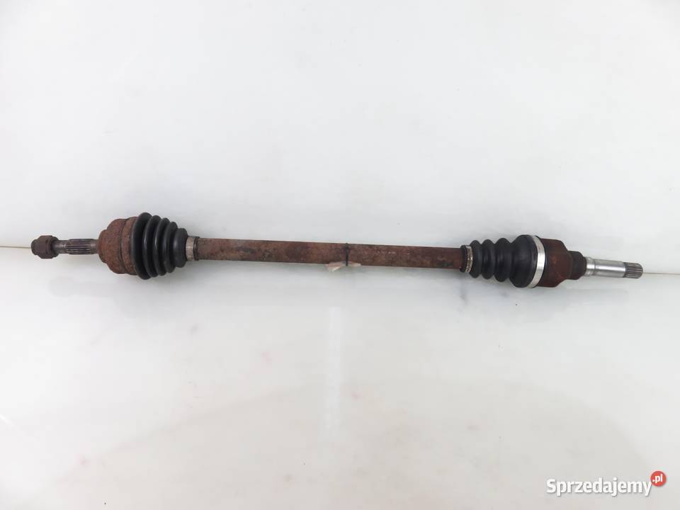 PÓŁOŚ LEWA TYLNA RENAULT KANGOO I 19 dCi