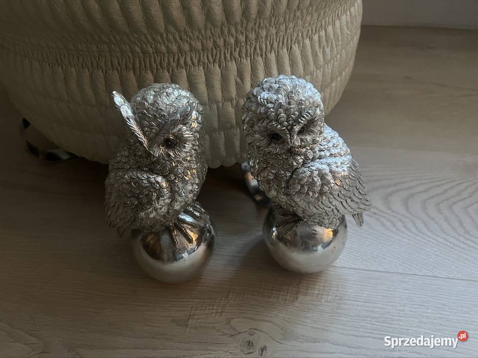 Piękne Srebrne Sowy Żary