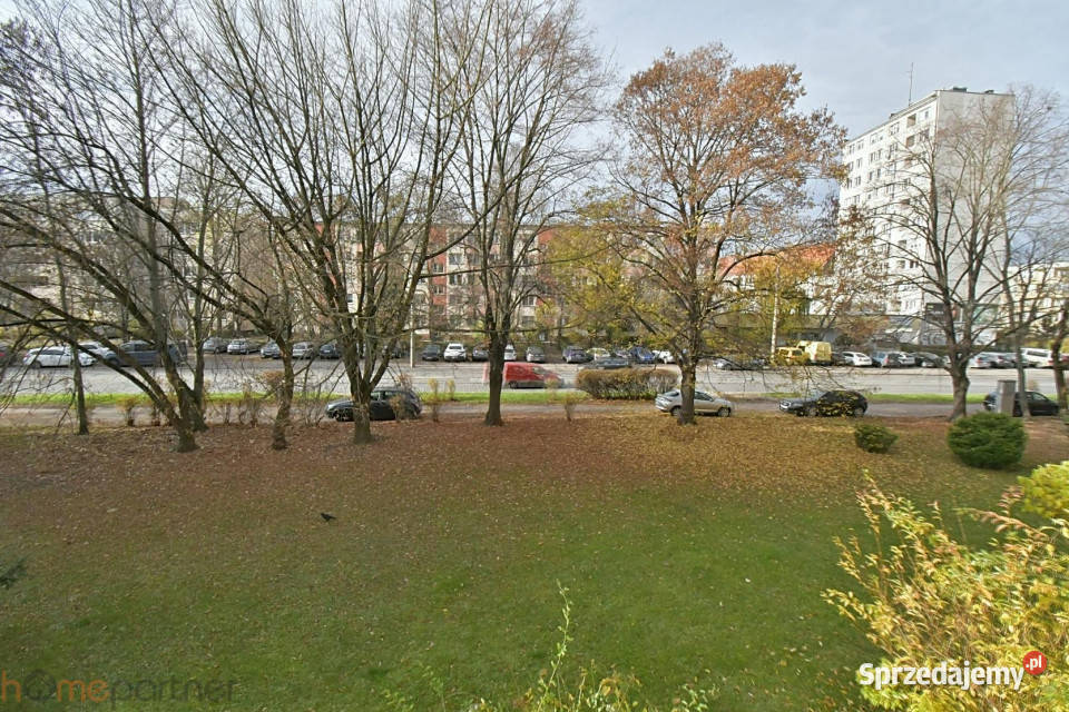 Mieszkanie 4562m2 Wrocław Gajowicka Sprzedaż sprzedam