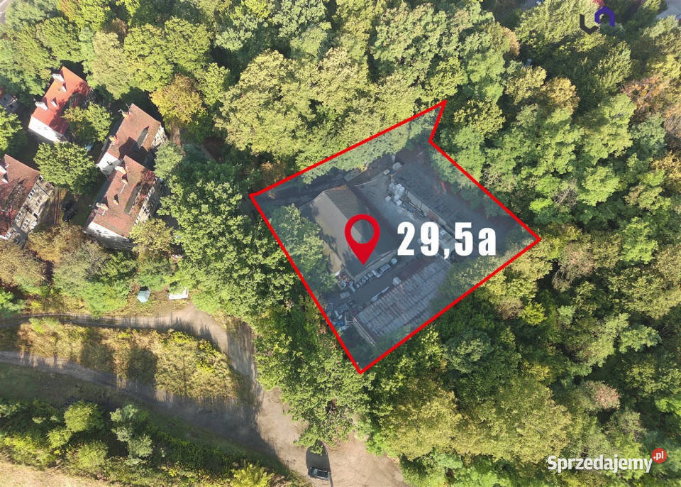 Lokal Bytom 995m2 2713zł/m2 śląskie