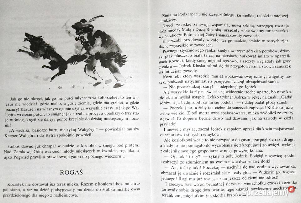 Rogaś z Doliny Roztoki Maria Kownacka miękka Chełm sprzedam