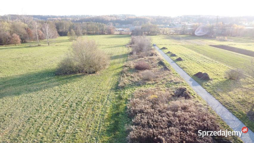 Grunt 2425m2 Krzeczów 136m Nieruchomości sprzedam