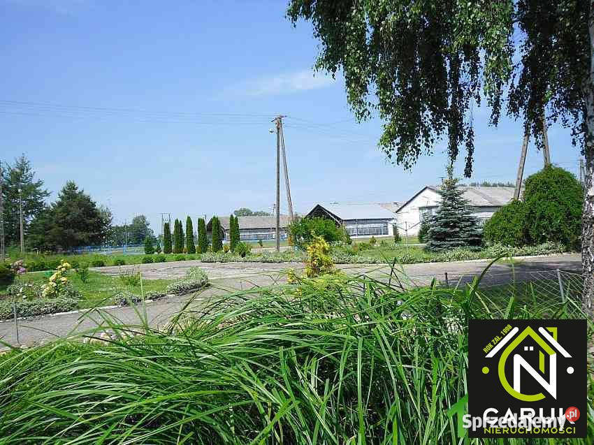 Lokal 4115m2 Wolin 4115m2 zachodniopomorskie sprzedam