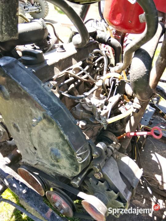 Buggy 19 td podkarpackie Cierpisz