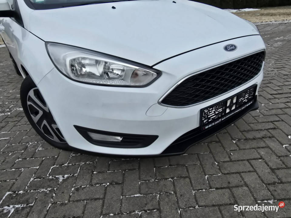 Ford Focus 15dci Focus Kutno