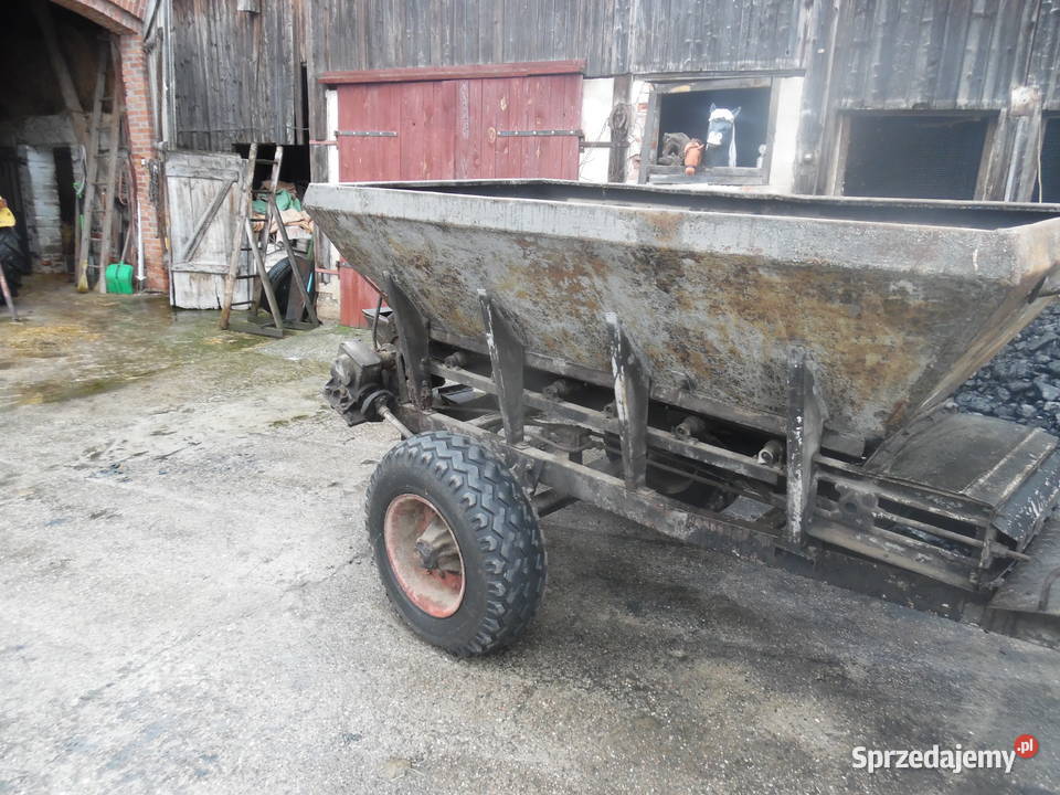 Rozsiewacz piast Szamotuły