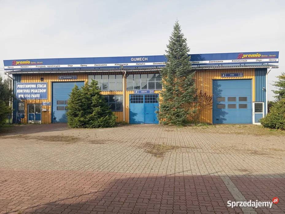 Sprzedam magazyn do przeniesienia z regałami i Sprzedaż Mińsk Mazowiecki