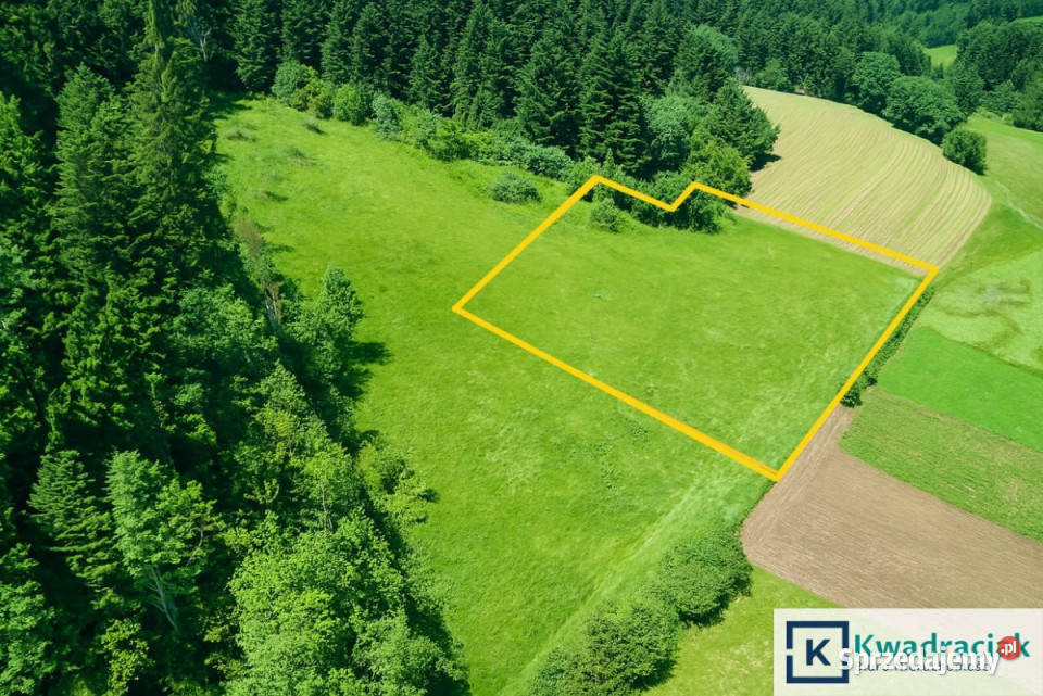 sprzedaży działki Zawóz 4214m2