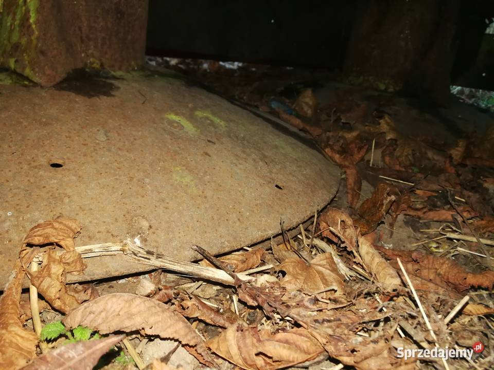 Kosiarka talerzowa claas Maszyny zielonkowe Łowicz