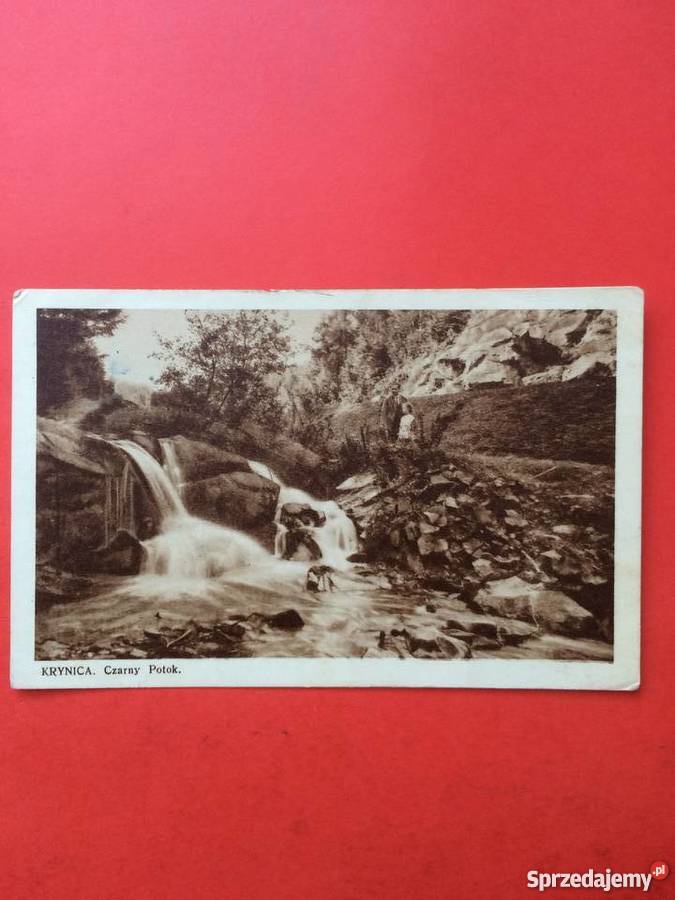 395 Karta Pocztowa z Krynicy Szczecin sprzedam