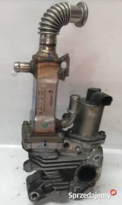 Zawór EGR Renault 19 DCI 70007504 Suchedniów sprzedam