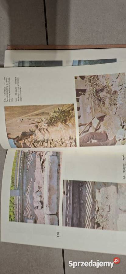 Pierwsze wydanie Ochrona mostów przed korozją wielkopolskie Łęczyca