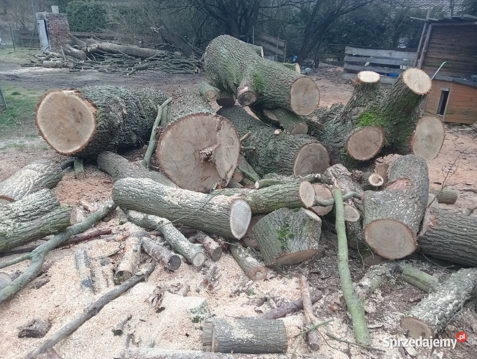 sprzedam opal Podła Góra