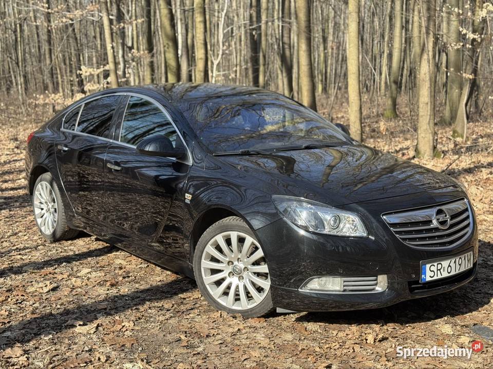 Opel Insignia 20 CDTI 195 4x4 OPC Line śląskie