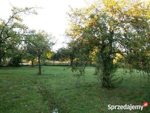 Do Dom i Budynki GosMława Krajewo 70m2 Mława