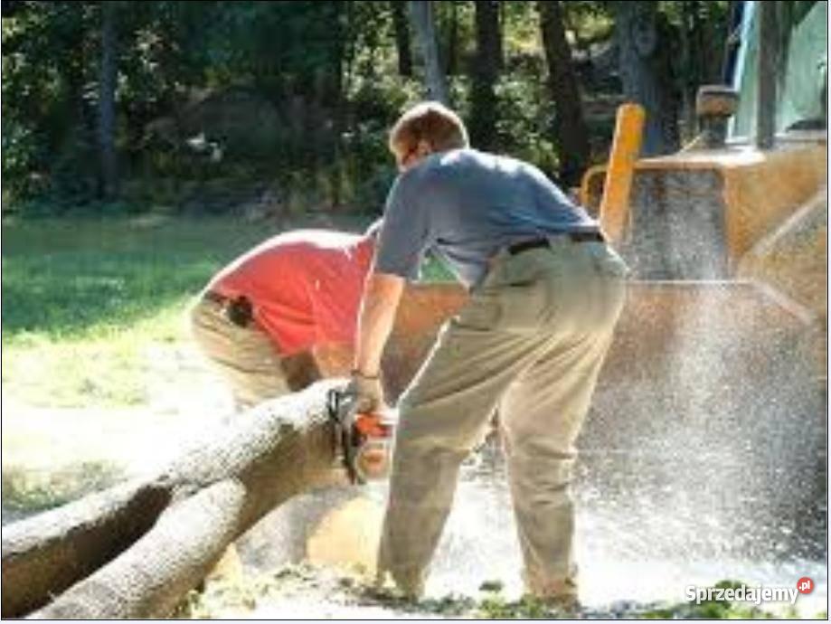 tartak w pobliżu Ełku Prostki
