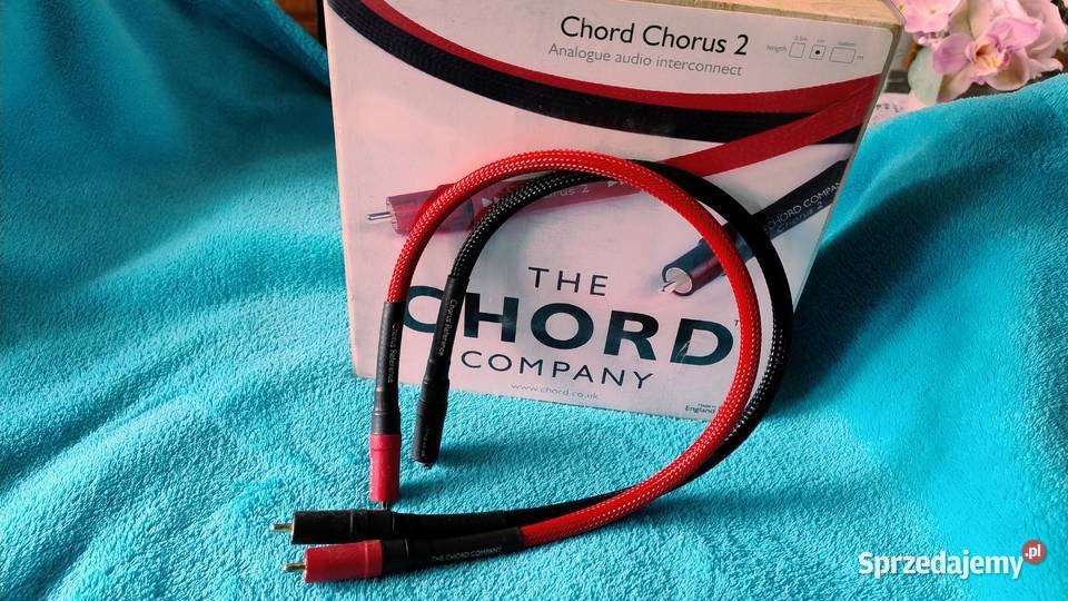 Chord Chorus Reference 2x50 Pszczyna