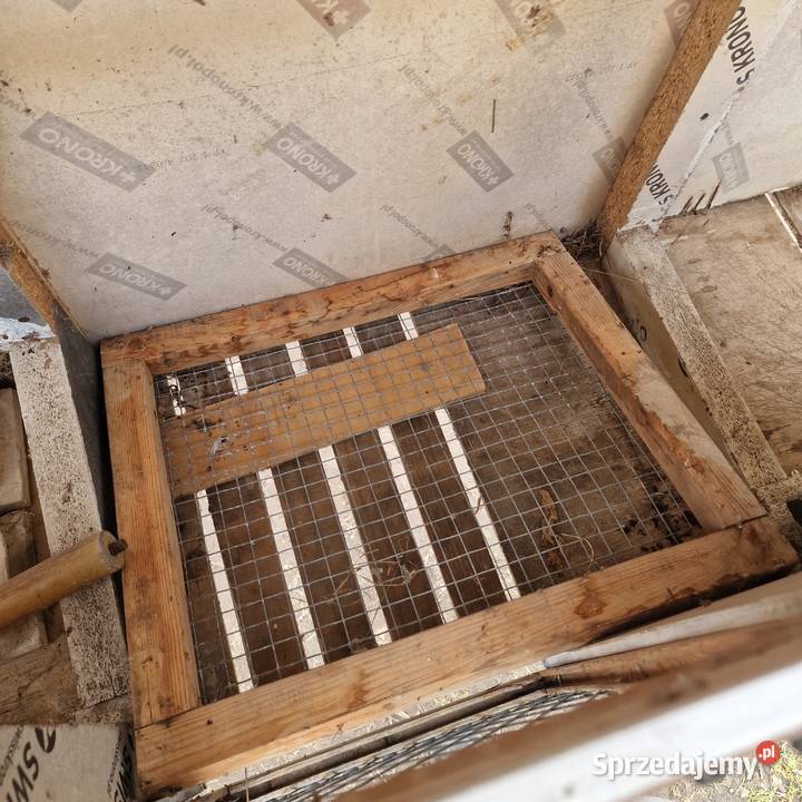 Klatka na króliki zające mazowieckie Dzierzby Szlacheckie sprzedam