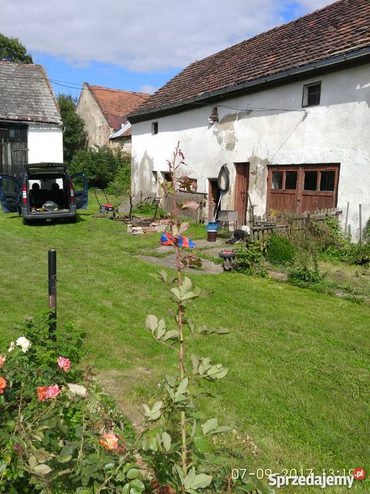 trzebina bad wachtel kunzendof góry opawskie 100m2 sprzedam