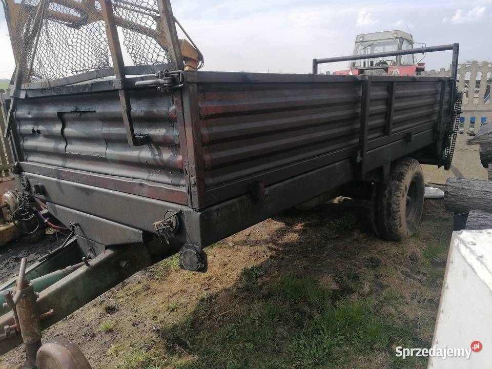 Rozrzutnik obornika wielkopolskie