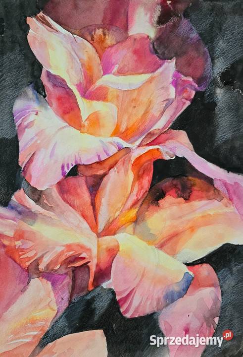 Akwarele oryginalne kwiaty różny rozmiar mazowieckie Warszawa