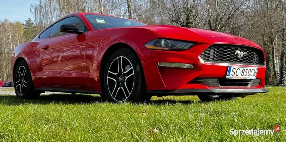 Ford Mustang 2019 r 2,3 Eco Boost SUPER STAN niski przebieg