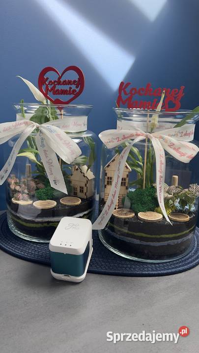 Las w szkle GOTOWA KOMPOZYCJA PREZENT Z dolnośląskie Oborniki Śląskie