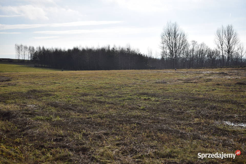 Działka budowlana 107a w Woli Rafaowskiej Wola Rafałowska
