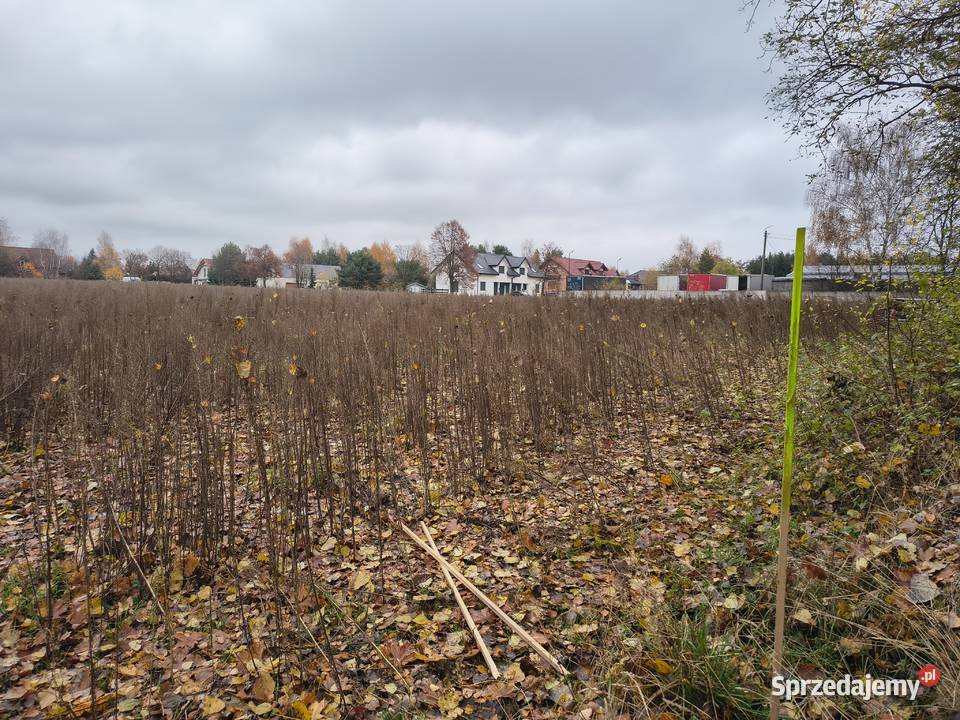 Sprzedam bezpośrednio działkę budowlaną