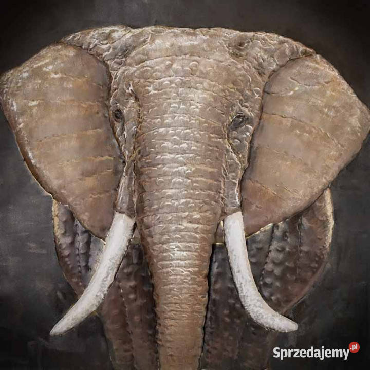 Obraz metalowy 3D LOFT NATURA SŁOŃ 2 100x100 świętokrzyskie