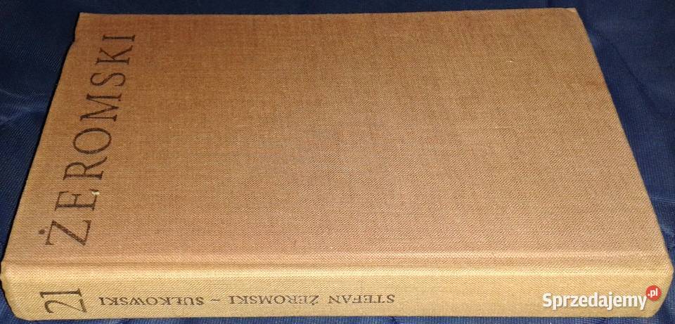 Sułkowski Toruń Stefan Żeromski Kultura i Rozrywka Chełm