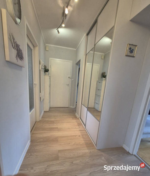 Mieszkanie 62m2 plaża jezioro las jasne Ostróda