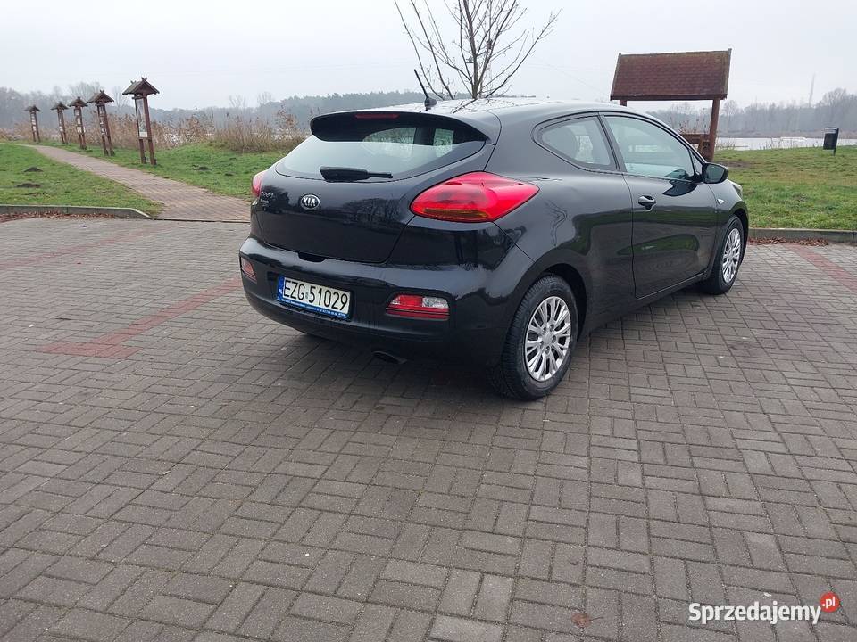 Kia ceed proceed 14 benz oryg przebieg 64 Sportowy / Coupe Głowno