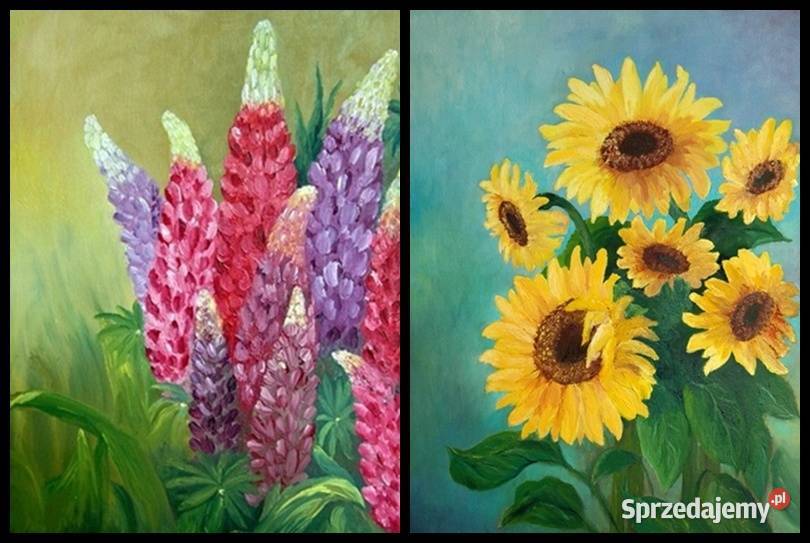 Obrazy olejne WYPRZEDAŻ lubelskie Lublin sprzedam