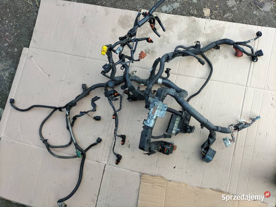 XTRAIL Qashqai 20DCi 24270JG71A WIĄZKA lubelskie Kamień-Kolonia