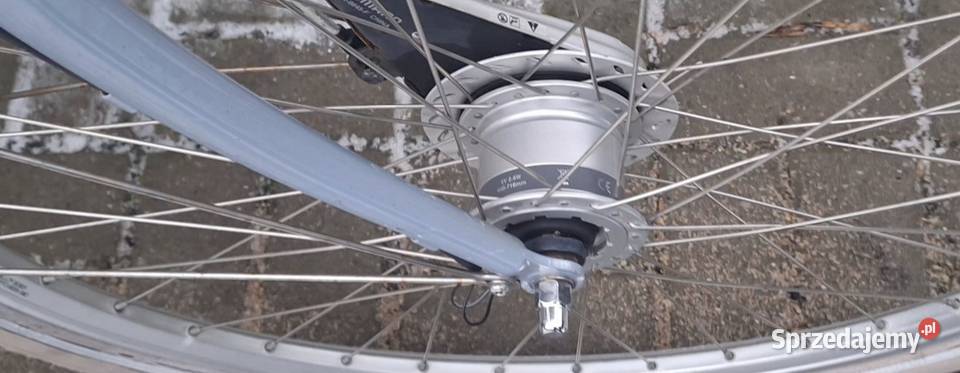 Rower Holenderski Batavus Mambo r48 możliwość Hrubieszów