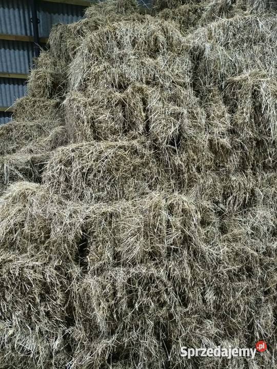 siano Pozostałe sprzedam