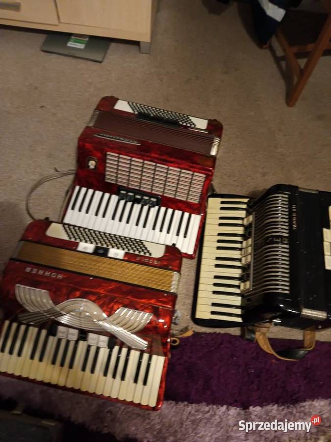 Akordeony Hohner i Weltmeister 96 basow warmińsko-mazurskie Pisz
