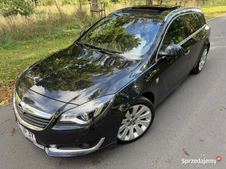 Opel Insignia Indyvidual OPC 20 BiTurbo 195 Navi