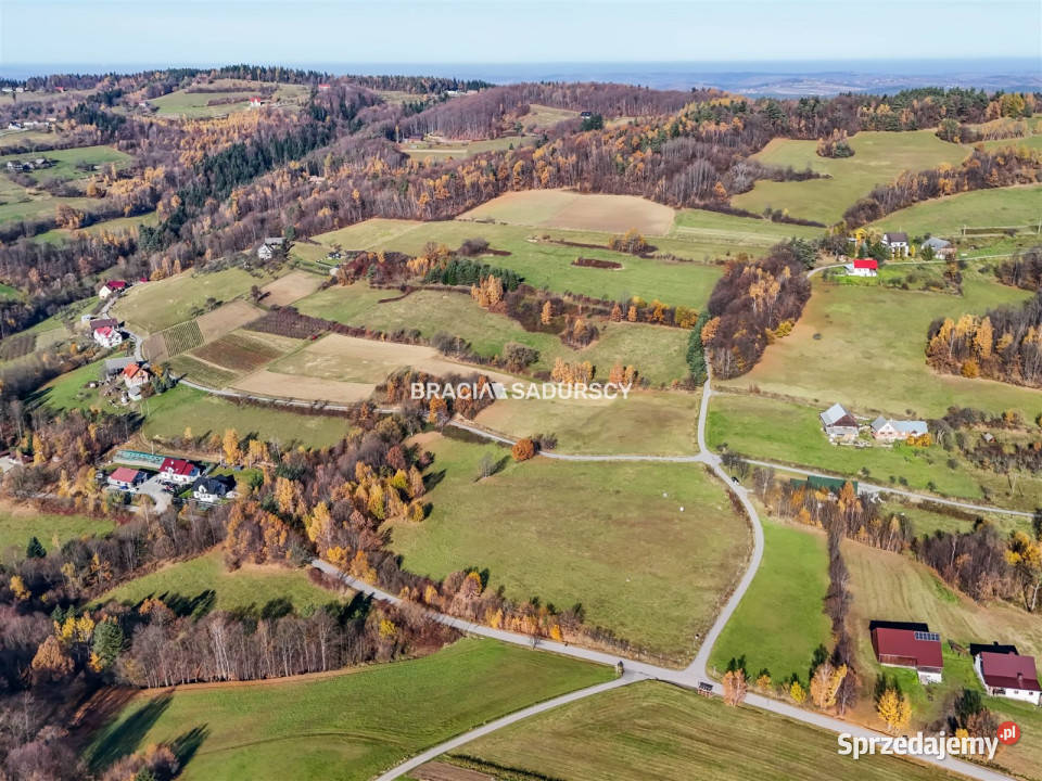 Grunt Kamionka Mała 130000m2 130000m2 małopolskie