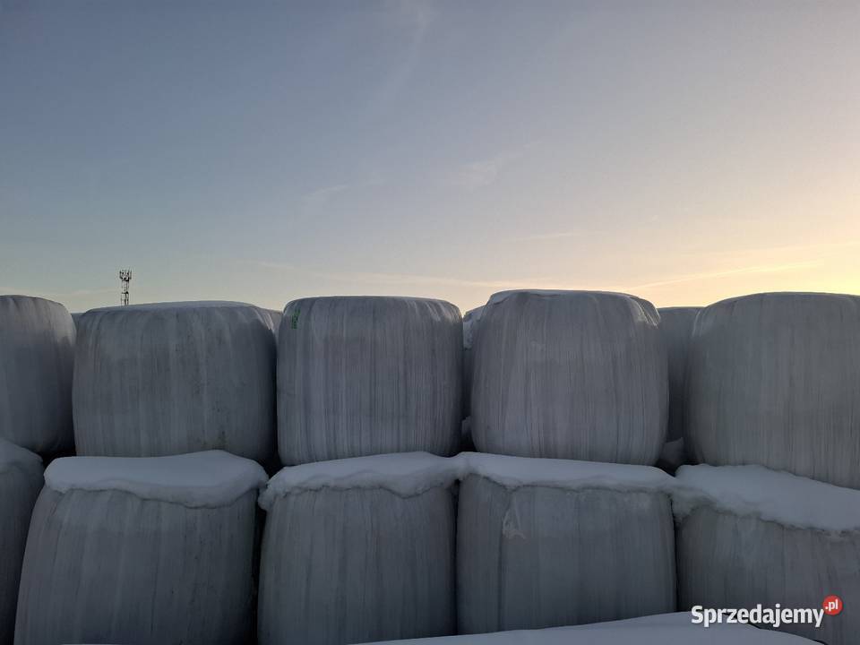 Sprzedam śląskie Tarnowskie Góry