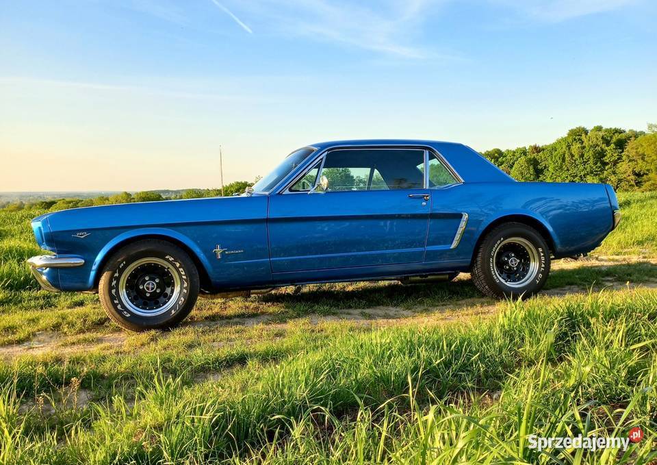 Ford Mustang 1965 v8 Czechowice-Dziedzice sprzedam