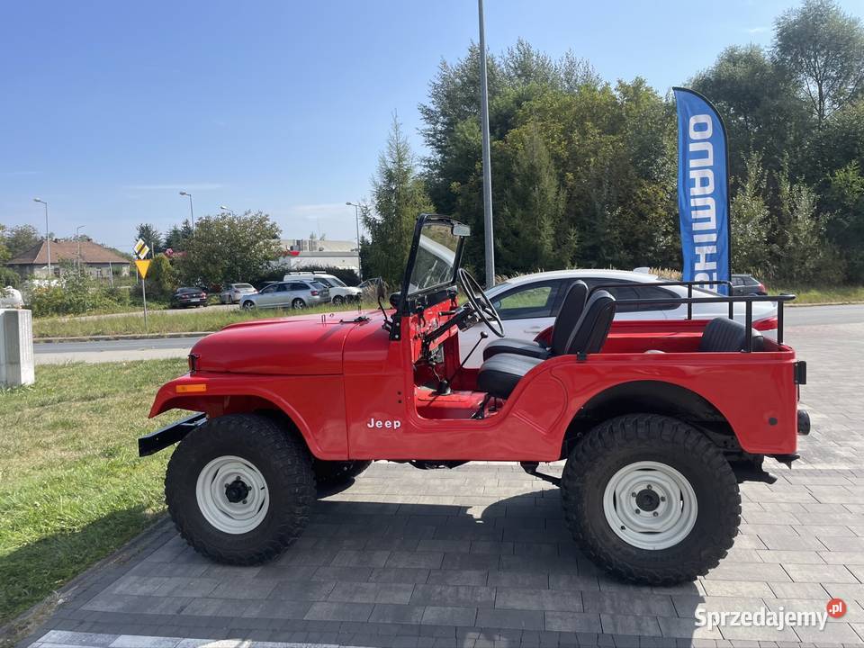 Jeep CJ5 sprzedam